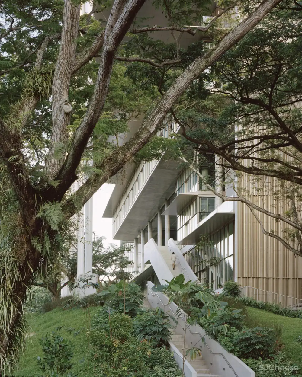 Rory Gardiner | 建筑摄影师眼中的世界