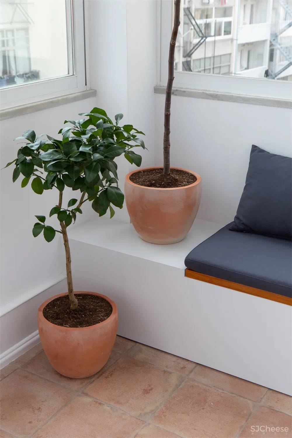 Lola Cwikowski l 葡萄牙Penha de france极简公寓