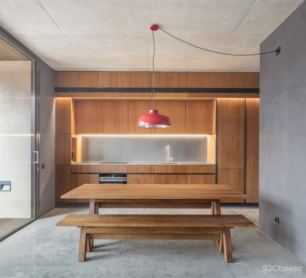 Lussi+Halter&Lola Domenech l 四个朋友的公寓