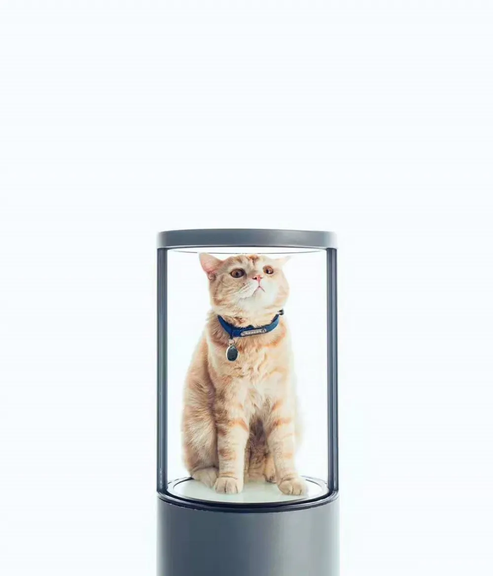 DISPLAY | 内心有光,悦见真我