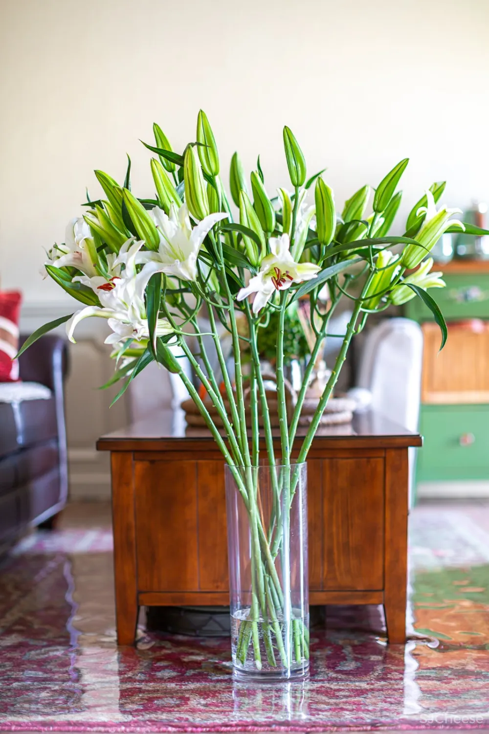 [美式田园]品味生活,追求悠闲，来一场绿意盎然的视觉享受