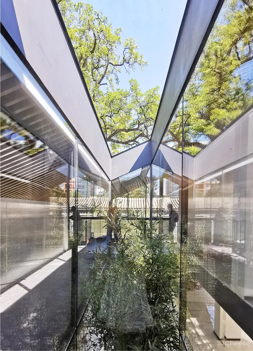 煤院新生,北京 / 临界工作室