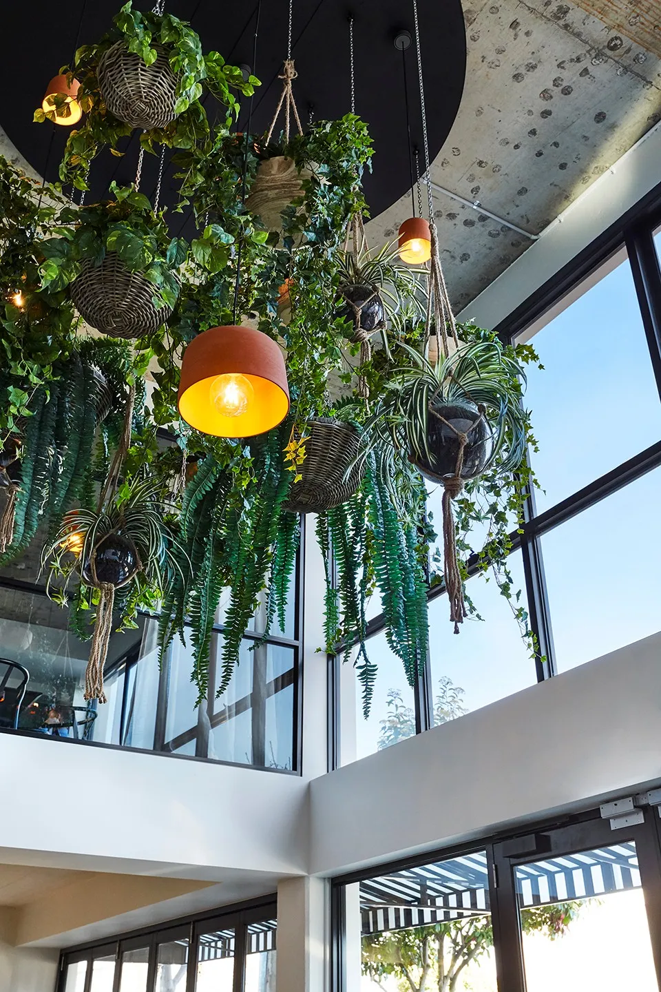 Carman’s食品公司新总部，墨尔本 / Ewert Leaf