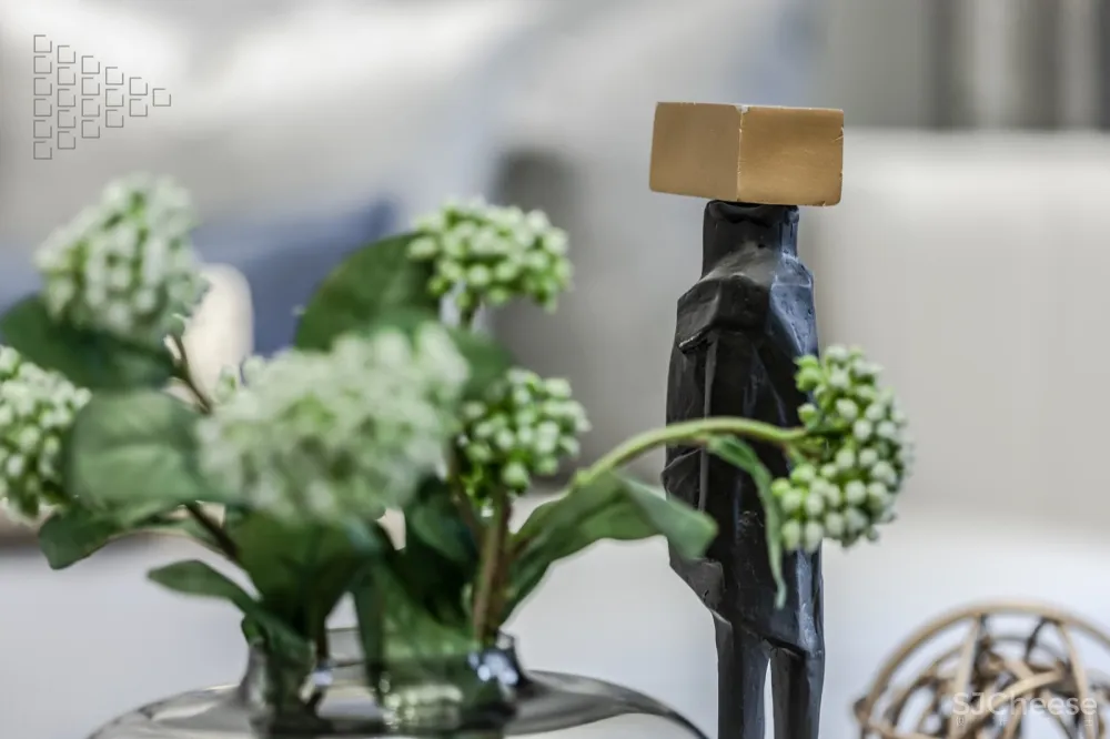 认真的雪 招商蛇口样板房实景拍摄案例分享