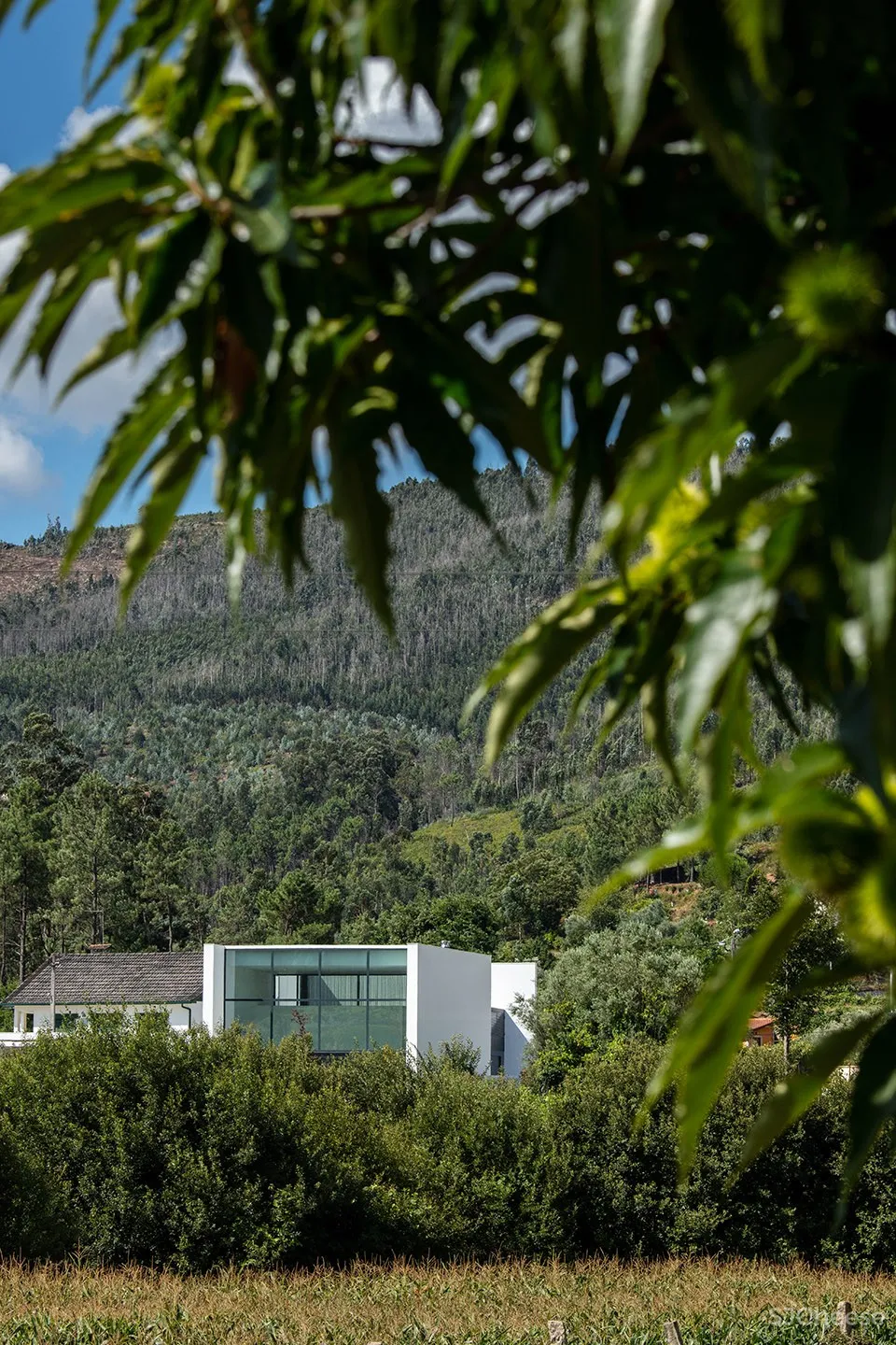 Gafarim住宅,葡萄牙 / Tiago do Vale Arquitectos