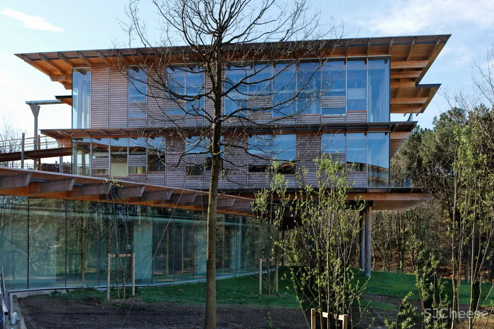 Campus Quiksilver Na Pali Patrick Arotcharen