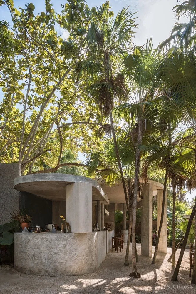 Estudio Atemporal | 丛林间最纯粹的酒吧体验