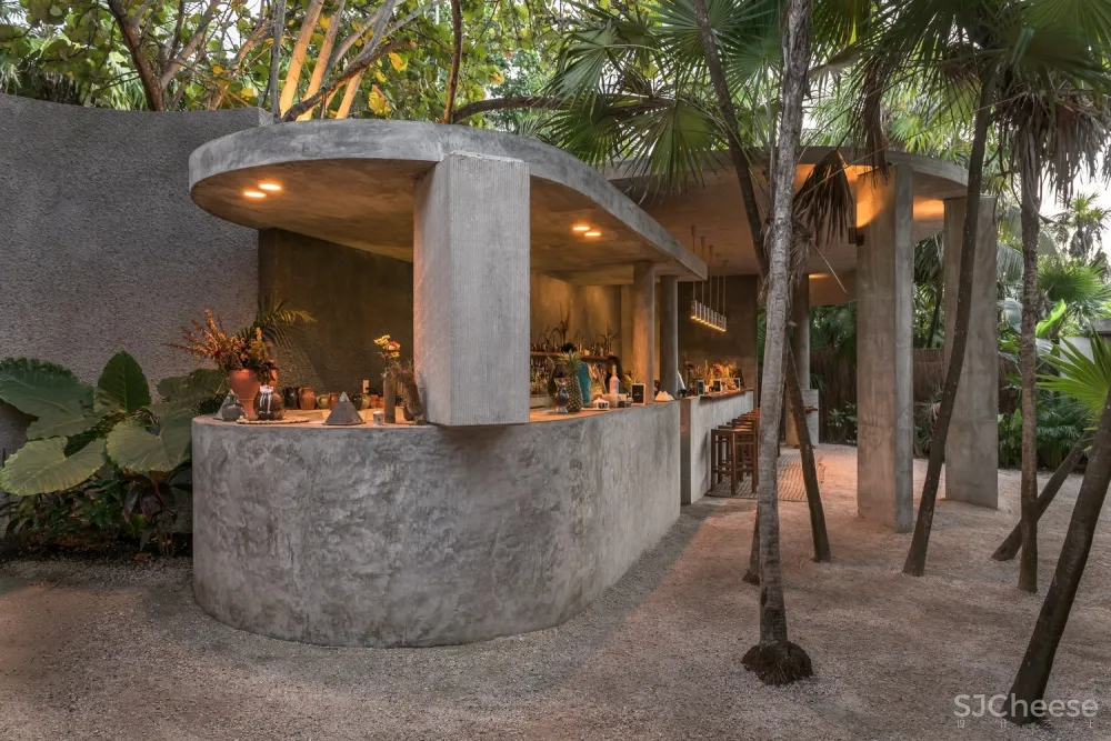 Estudio Atemporal | 丛林间最纯粹的酒吧体验