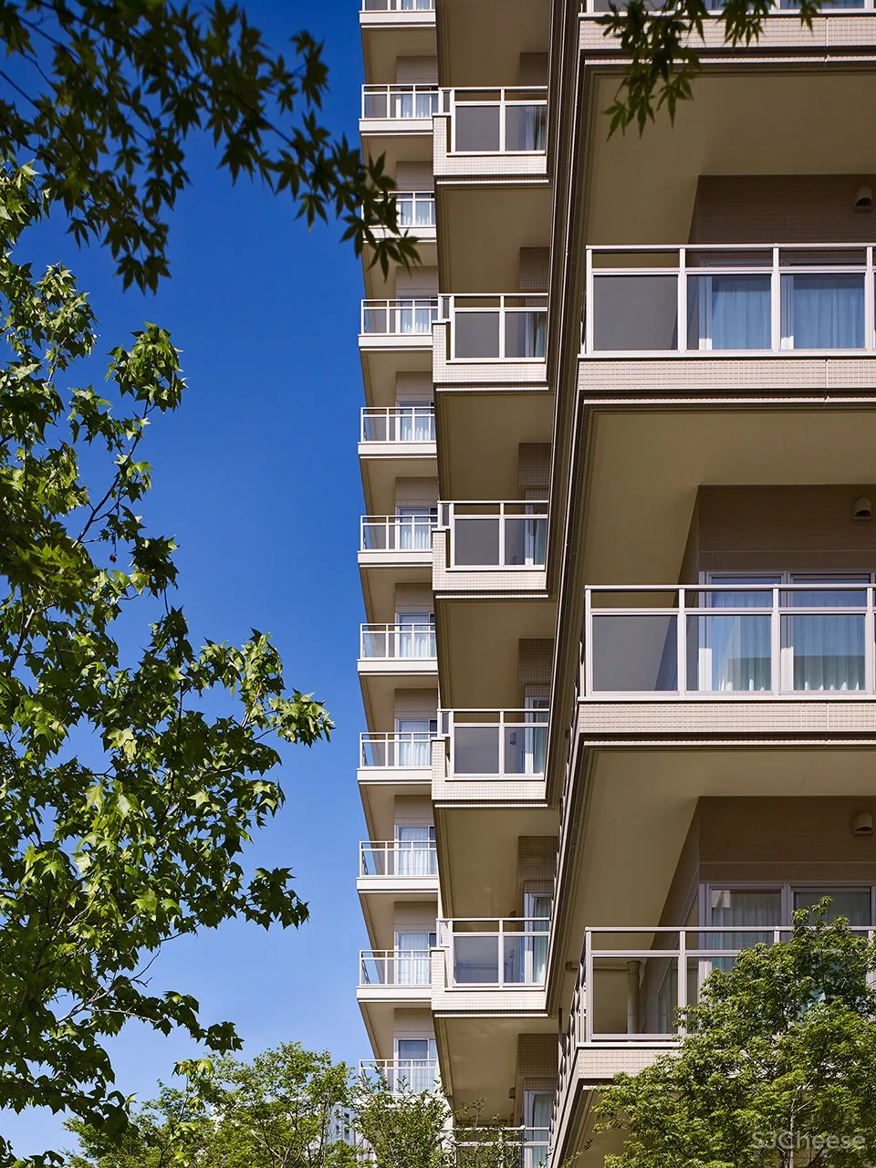 神户太阳城公寓大楼，日本 / Richard Beard Architects 首