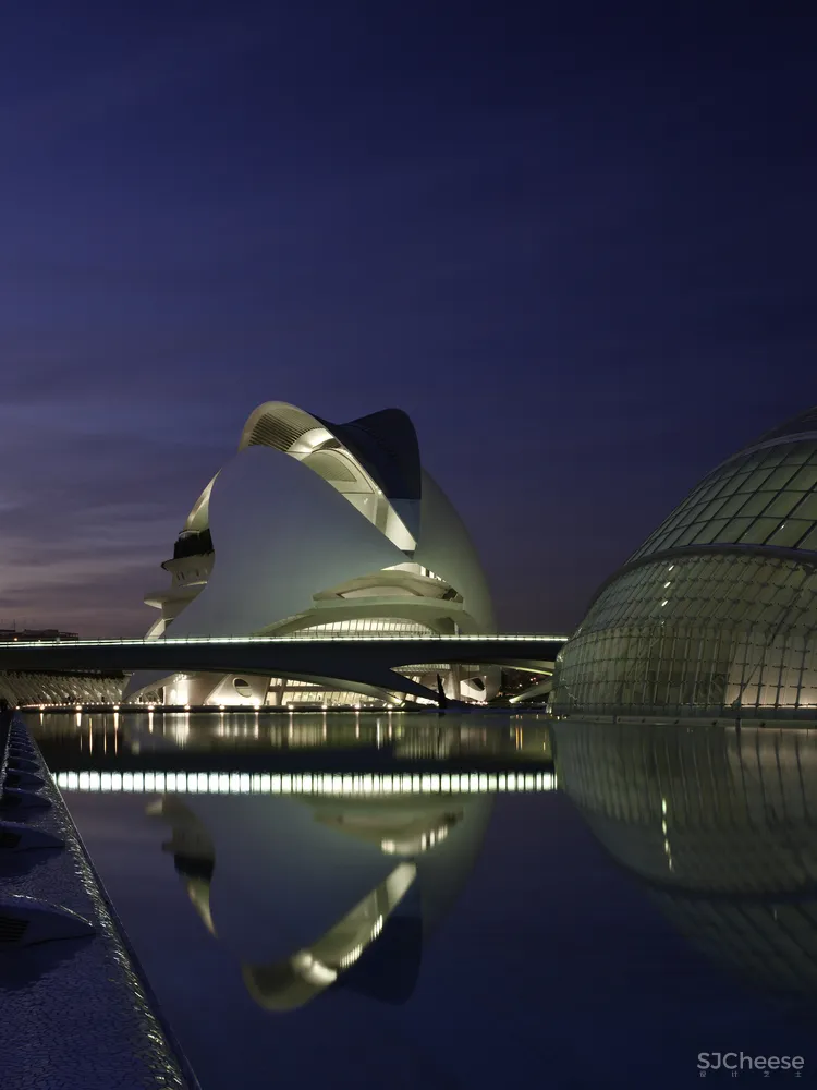 Palau de les Arts Reina Sofía Santiago Calatrava
