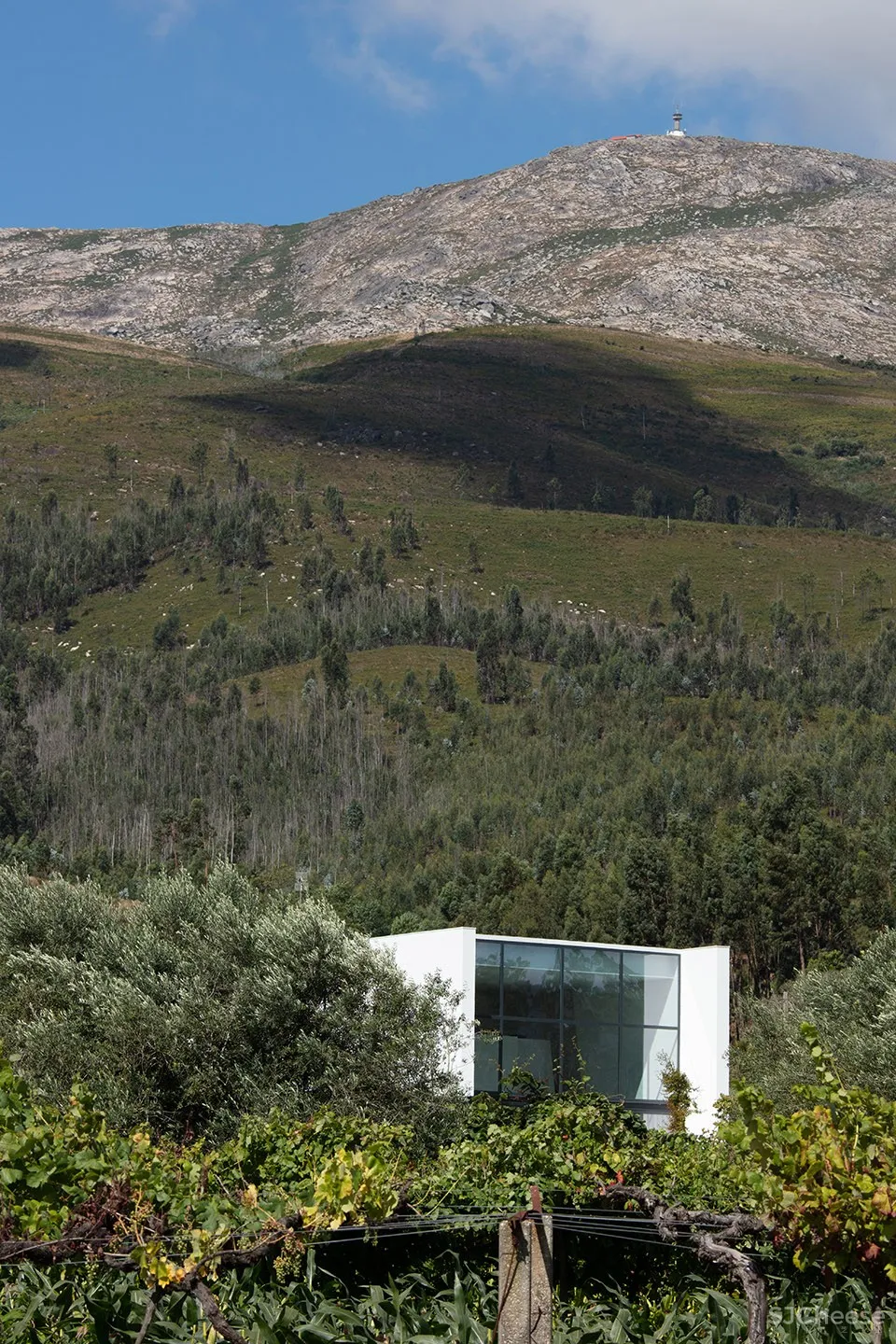 Gafarim住宅,葡萄牙 / Tiago do Vale Arquitectos
