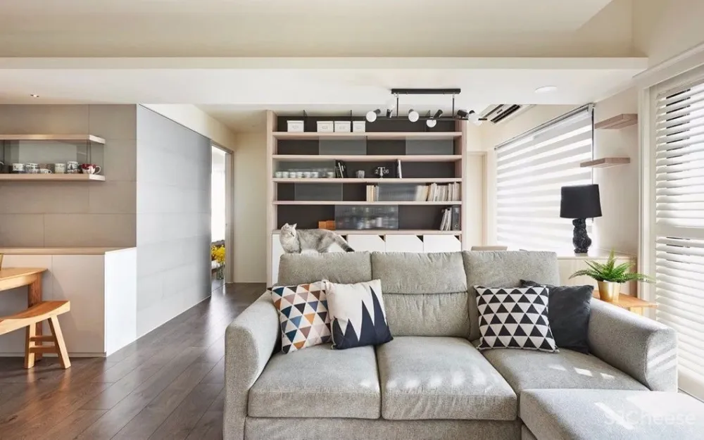 做合格猫奴丨这对小夫妻将家装修成猫主子的欢乐空间