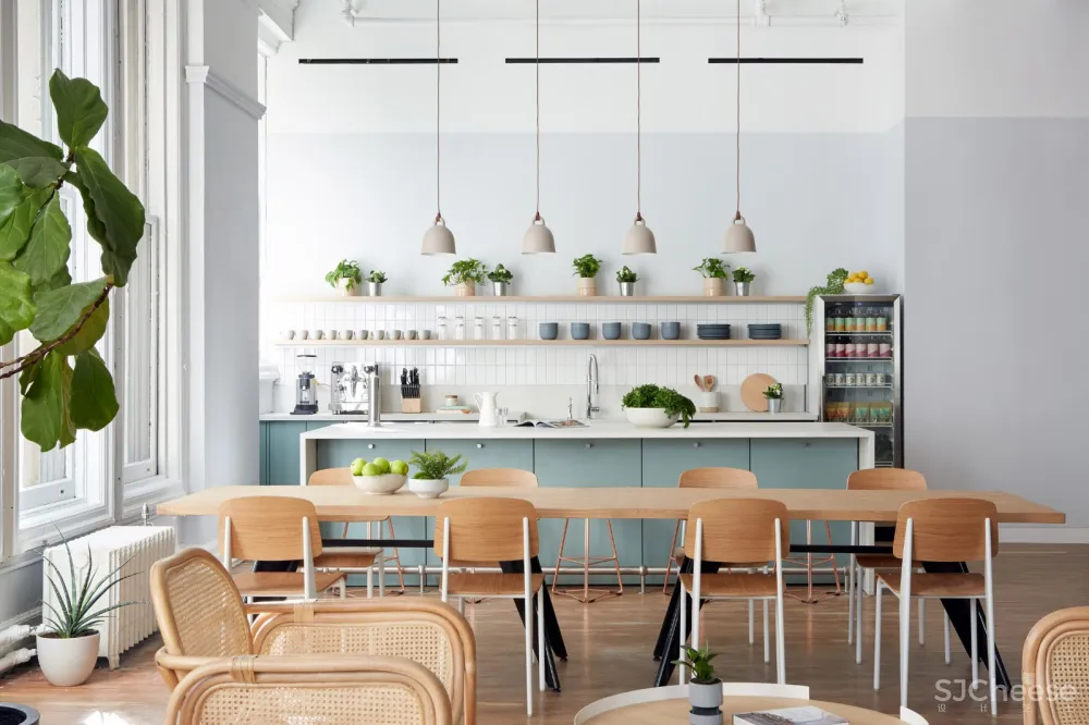 最新 | Alda Ly设计健康的质朴和家庭细节：纽约欧芹诊所 首