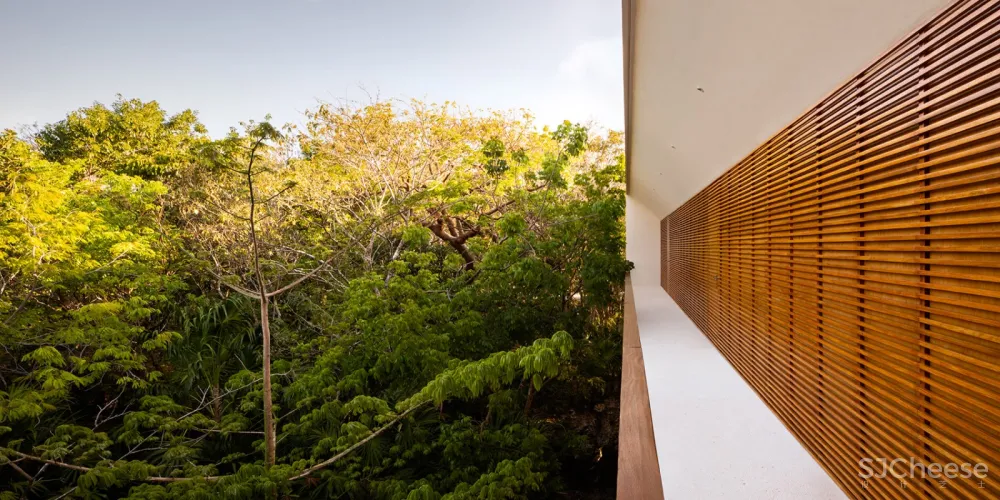 科苏梅尔岛住宅，墨西哥 / Sordo Madaleno Arquitectos