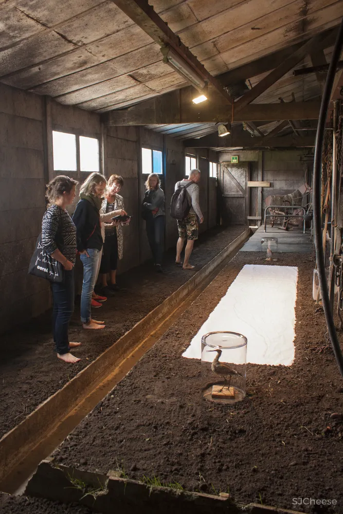 Grounded Studio Elmo Vermijs