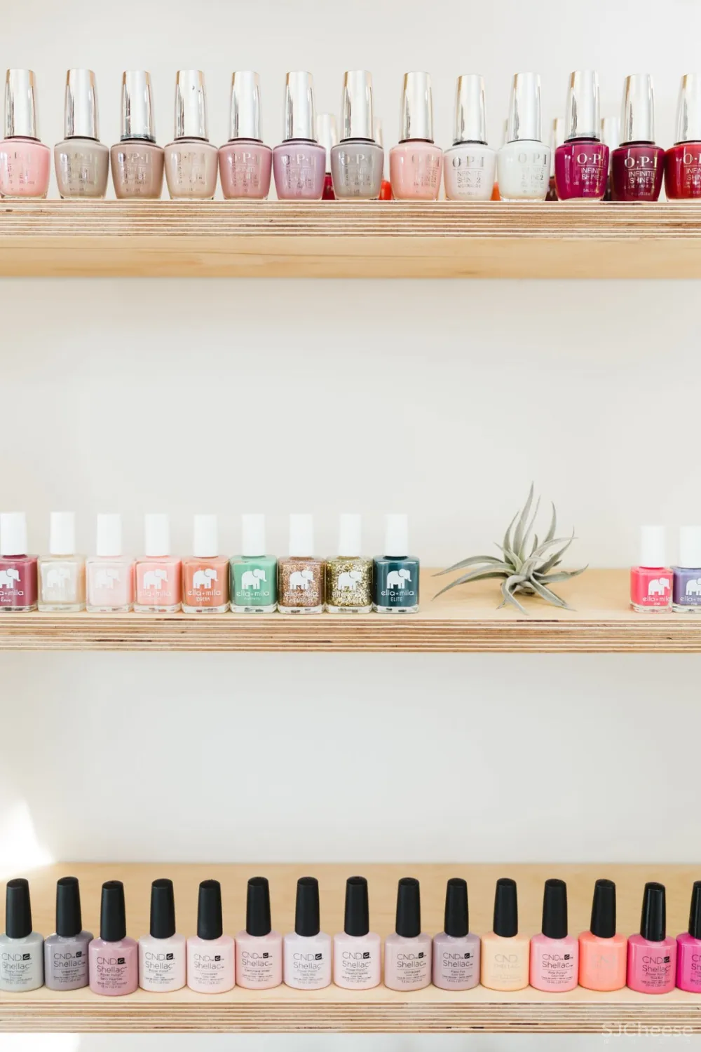 首发 | Solstice interior：圣地亚哥舒缓自我护理 LEO美甲沙龙 首