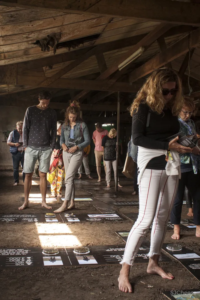 Grounded Studio Elmo Vermijs