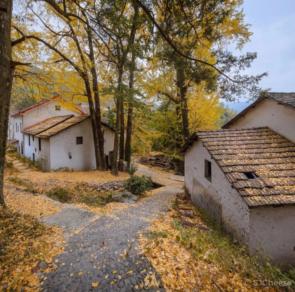新作:隐于安吉深山老林的朴质乡居,美丽四季就在门前