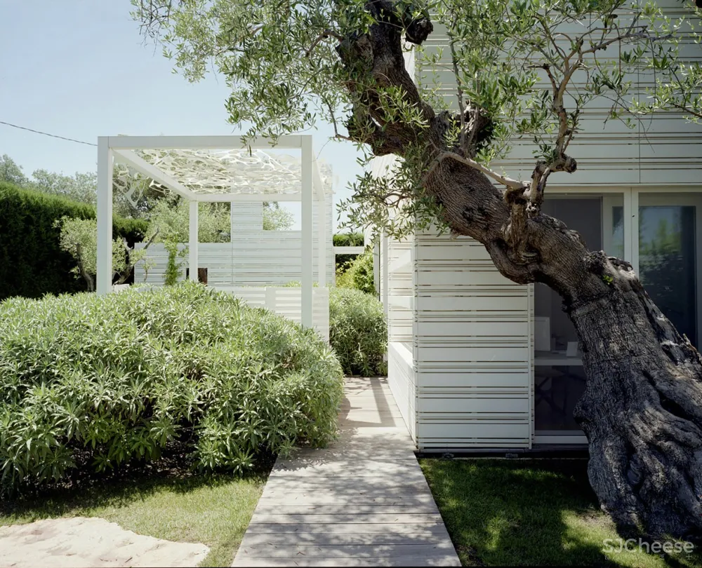 首发 | Toti Semerano:水上花园住宅 Casa De Masi 首