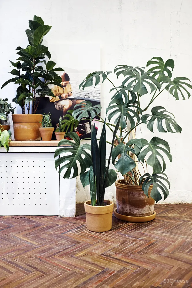 Zerezes Tavares Duayer Arquitetura