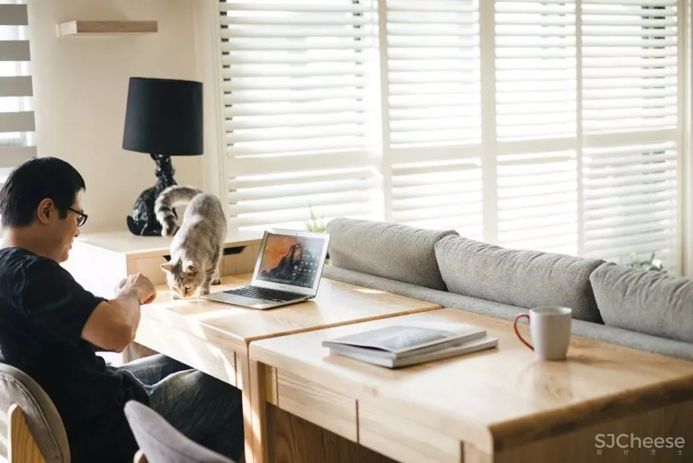 做合格猫奴丨这对小夫妻将家装修成猫主子的欢乐空间