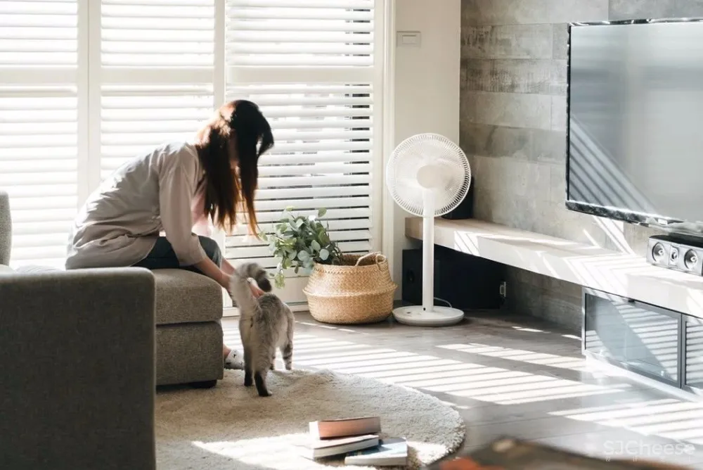 做合格猫奴丨这对小夫妻将家装修成猫主子的欢乐空间