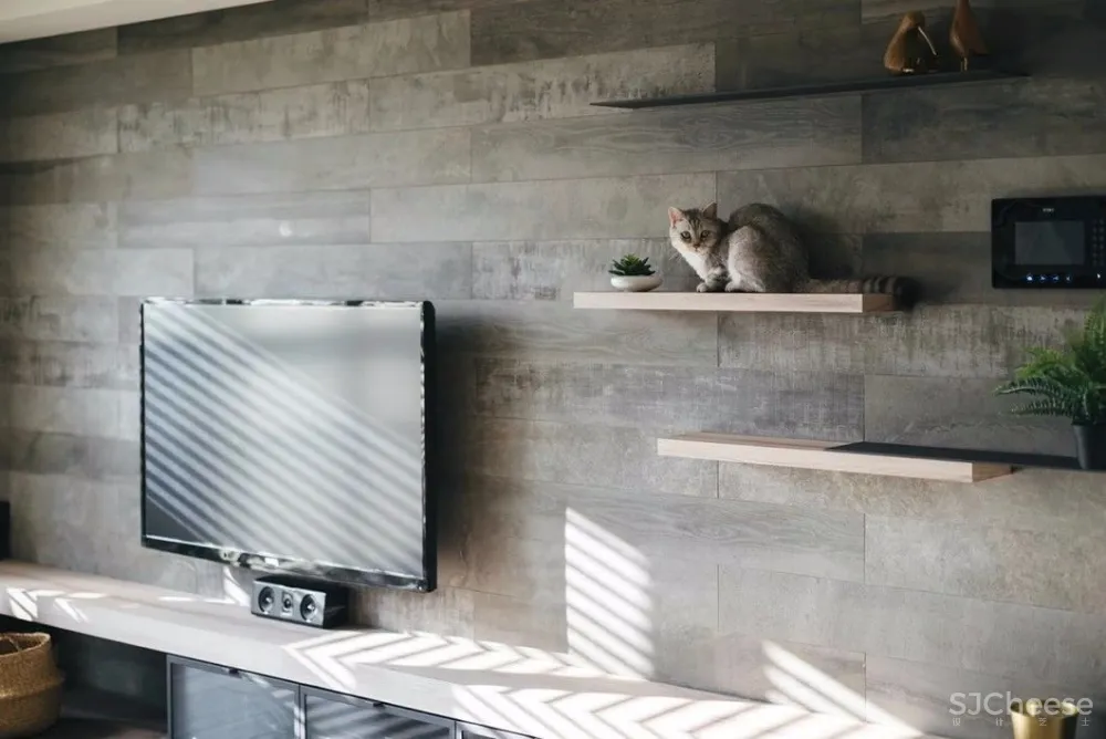 做合格猫奴丨这对小夫妻将家装修成猫主子的欢乐空间