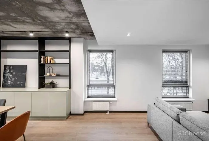 立陶宛：城市中的轻工业魅力，享受时髦与惬意