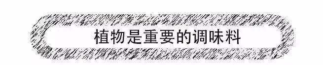 朴开十向新作首发 | 有一辆铁皮小车从曼谷开到了成都 首