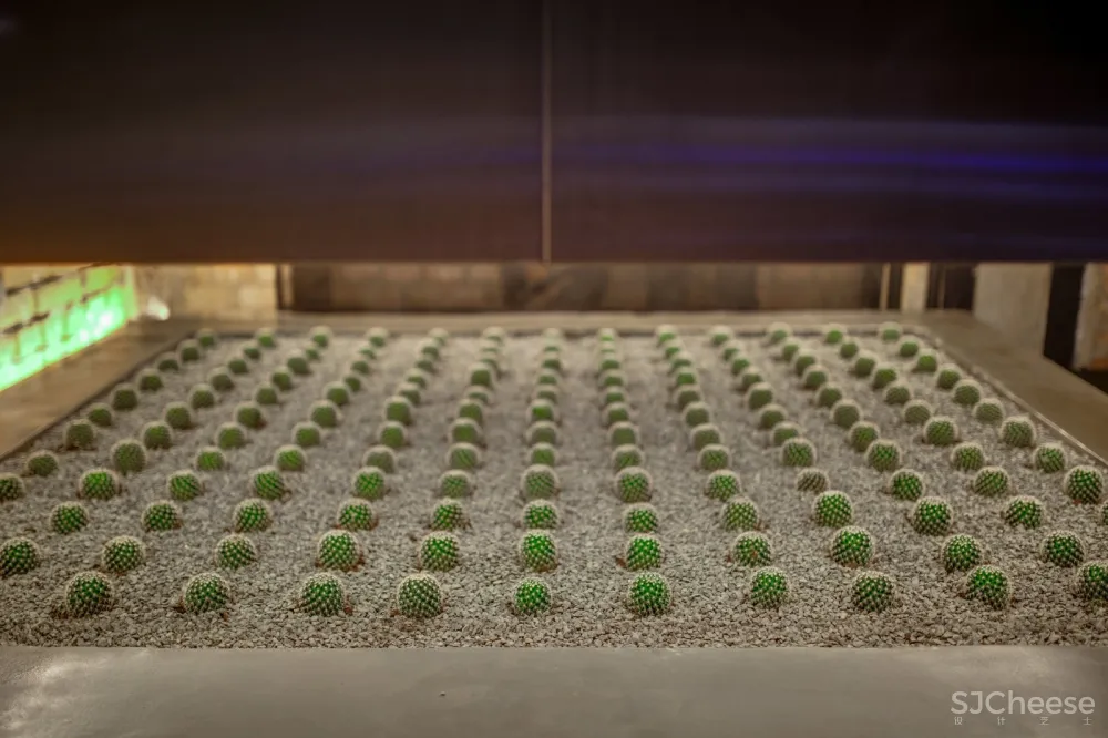 380㎡基辅的墨西哥汉堡店 | Slava Balbek 首