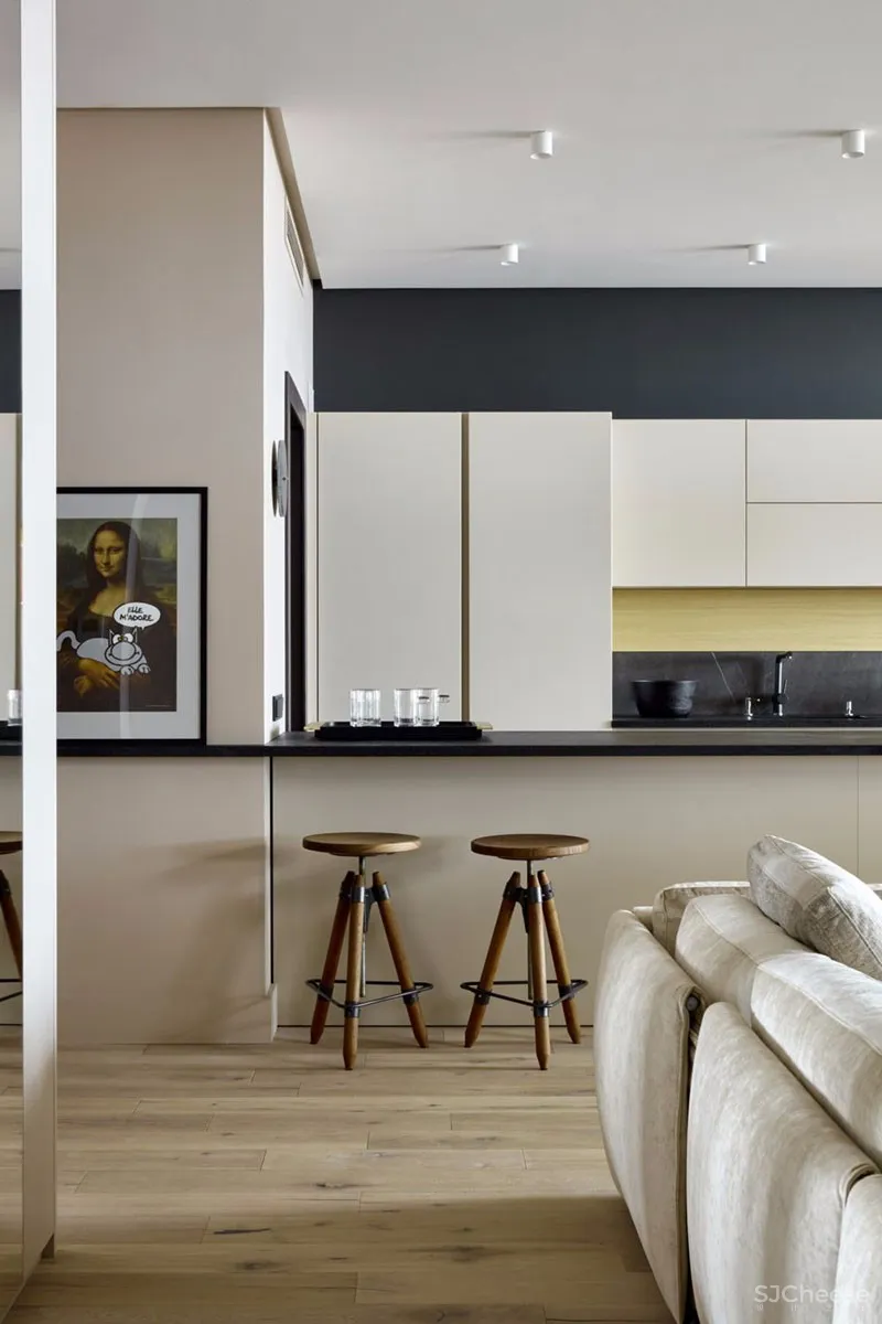 莫斯科有着多变墙面装饰的现代公寓