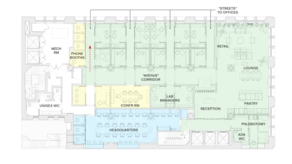 最新 | Alda Ly设计健康的质朴和家庭细节：纽约欧芹诊所 首