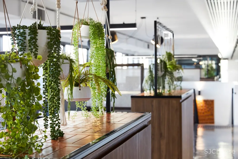 Carman’s食品公司新总部，墨尔本 / Ewert Leaf