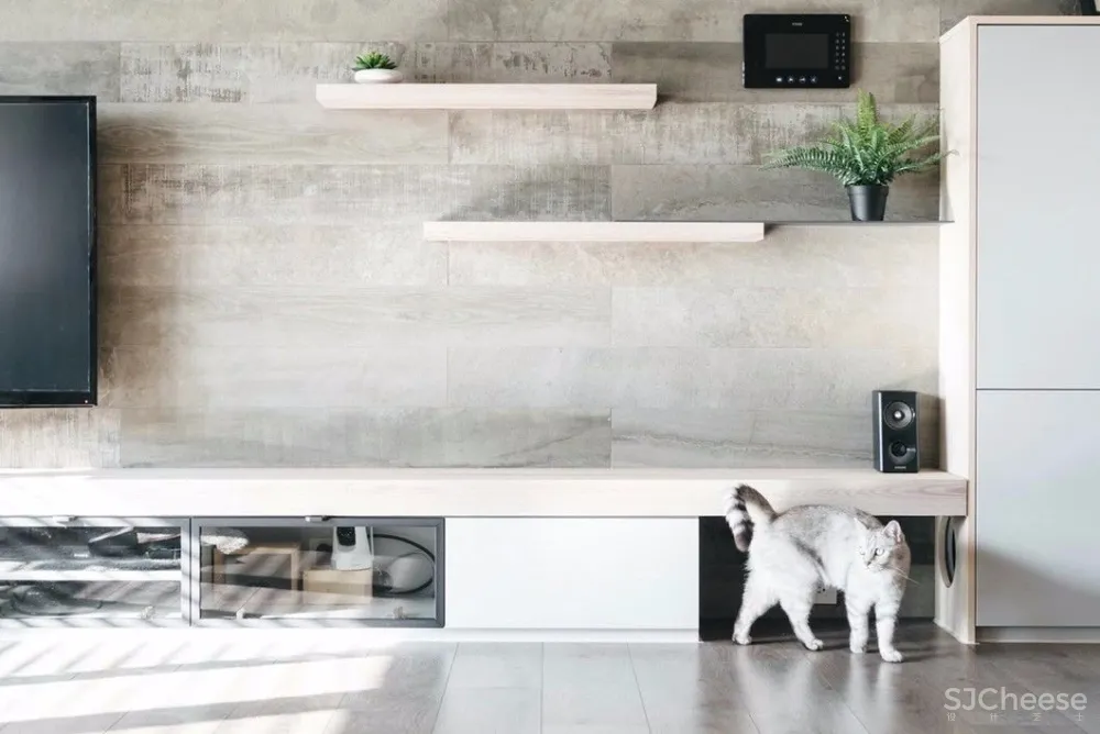 做合格猫奴丨这对小夫妻将家装修成猫主子的欢乐空间