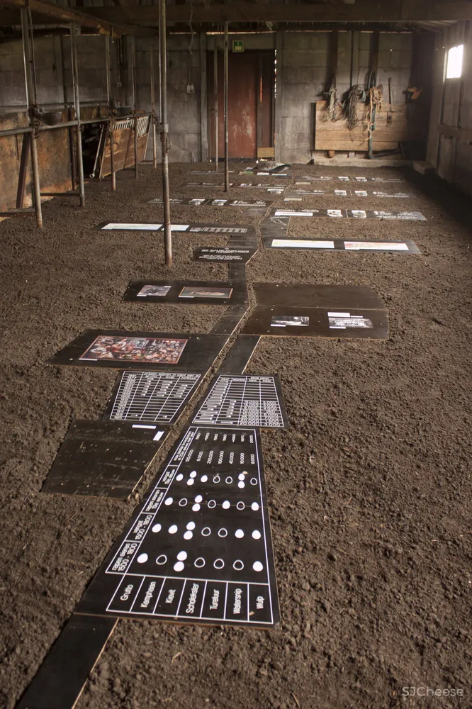 Grounded Studio Elmo Vermijs