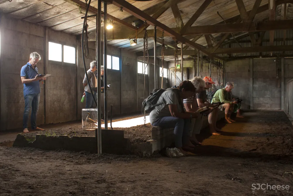 Grounded Studio Elmo Vermijs