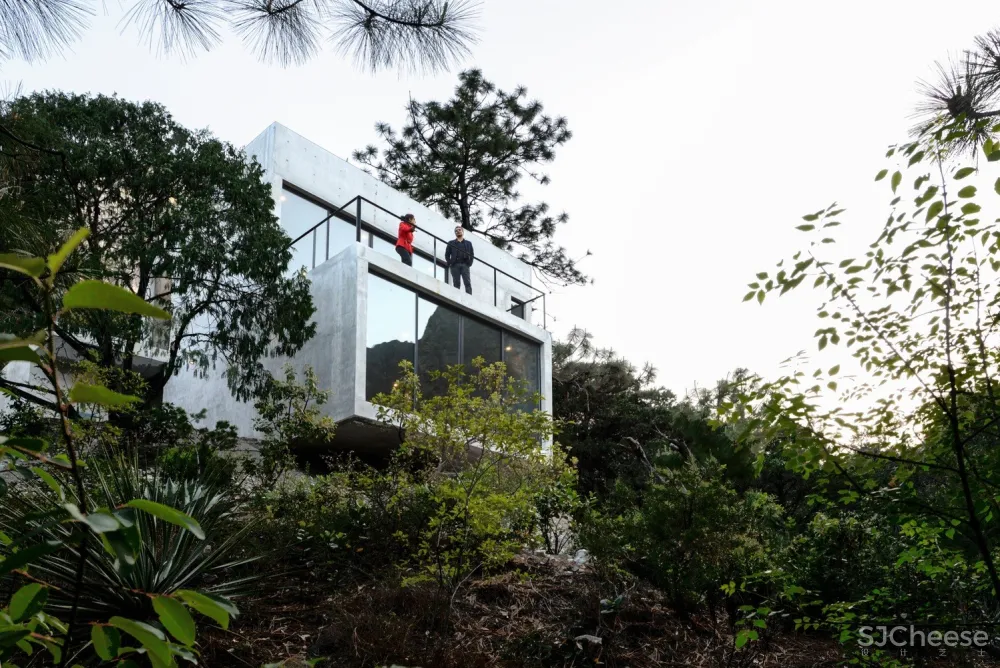 214E小屋,面向林间的观景台 / P+0 Architecture + David 首