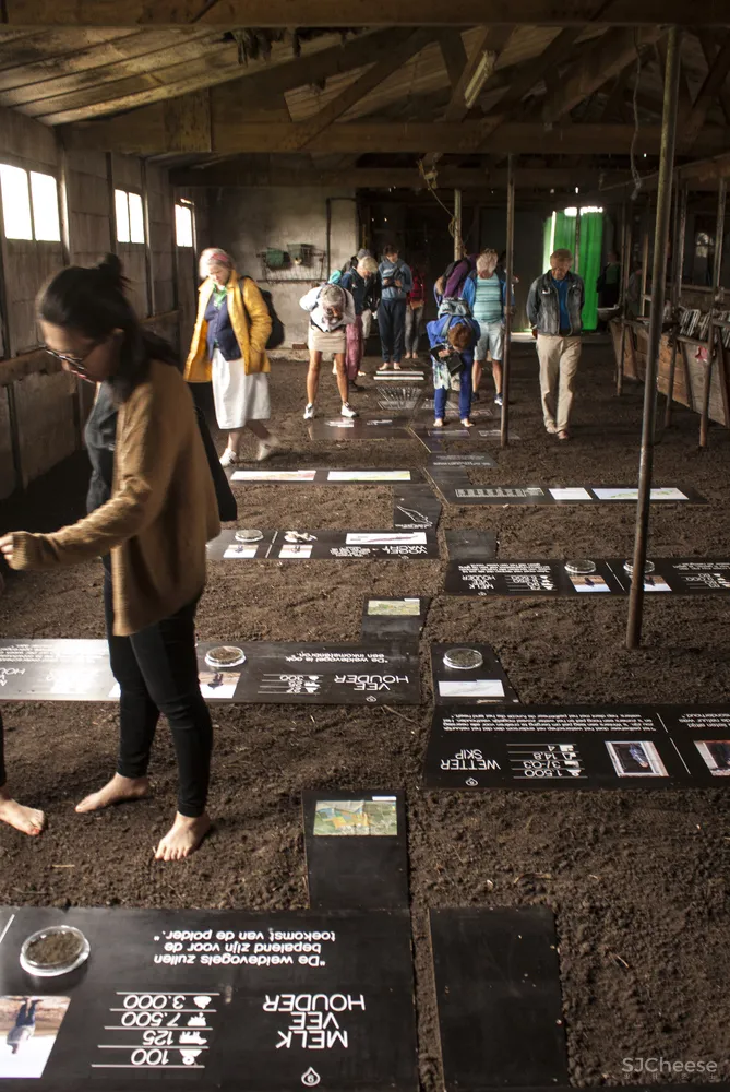 Grounded Studio Elmo Vermijs