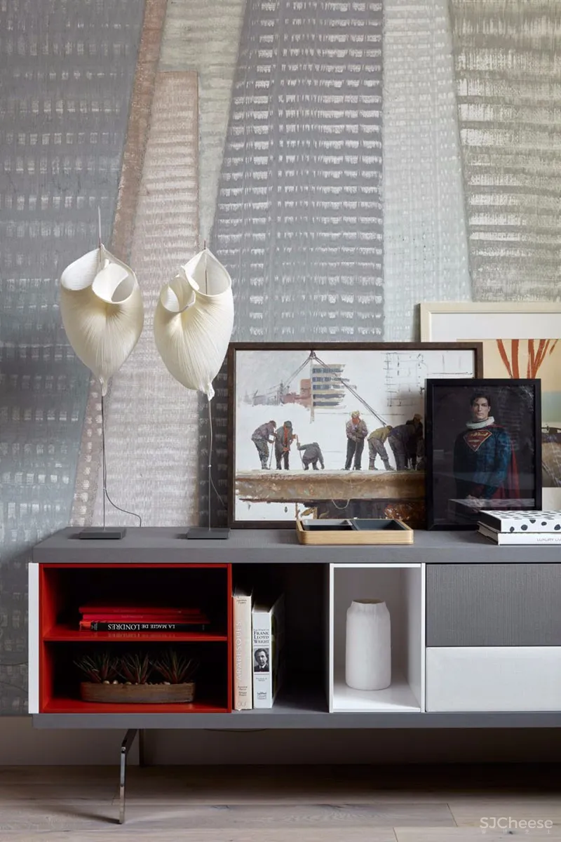 莫斯科有着多变墙面装饰的现代公寓