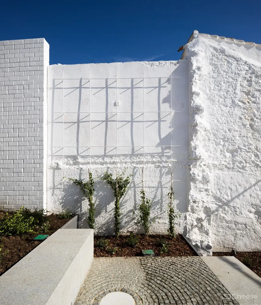 玛利亚与萨雷诺庭院 / WaterScales arquitectos