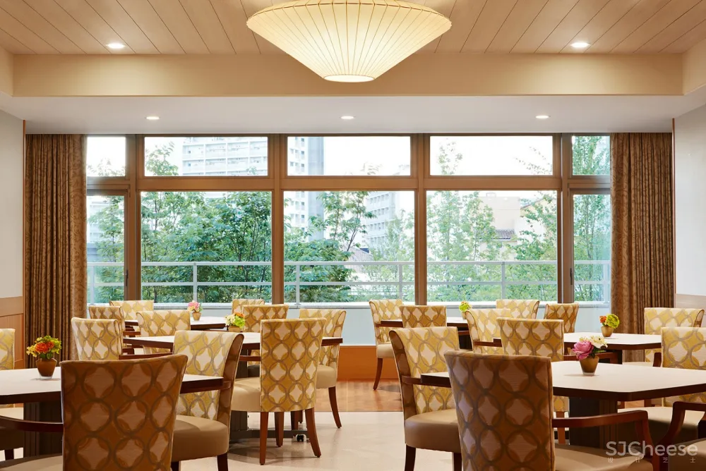 神户太阳城公寓大楼，日本 / Richard Beard Architects 首