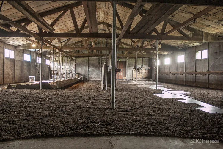 Grounded Studio Elmo Vermijs