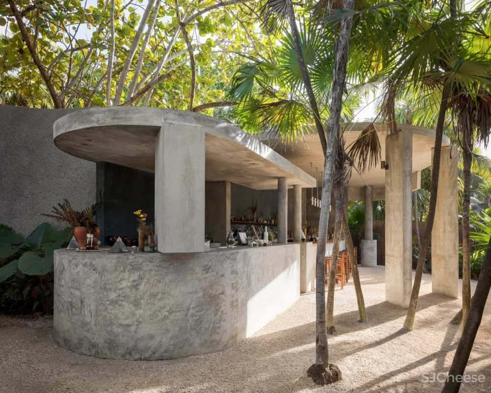 Estudio Atemporal | 丛林间最纯粹的酒吧体验