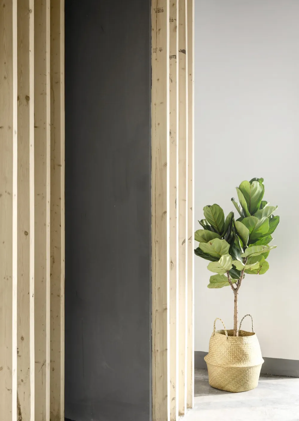 木头房子和弧形盒子 | 尤格设计 首