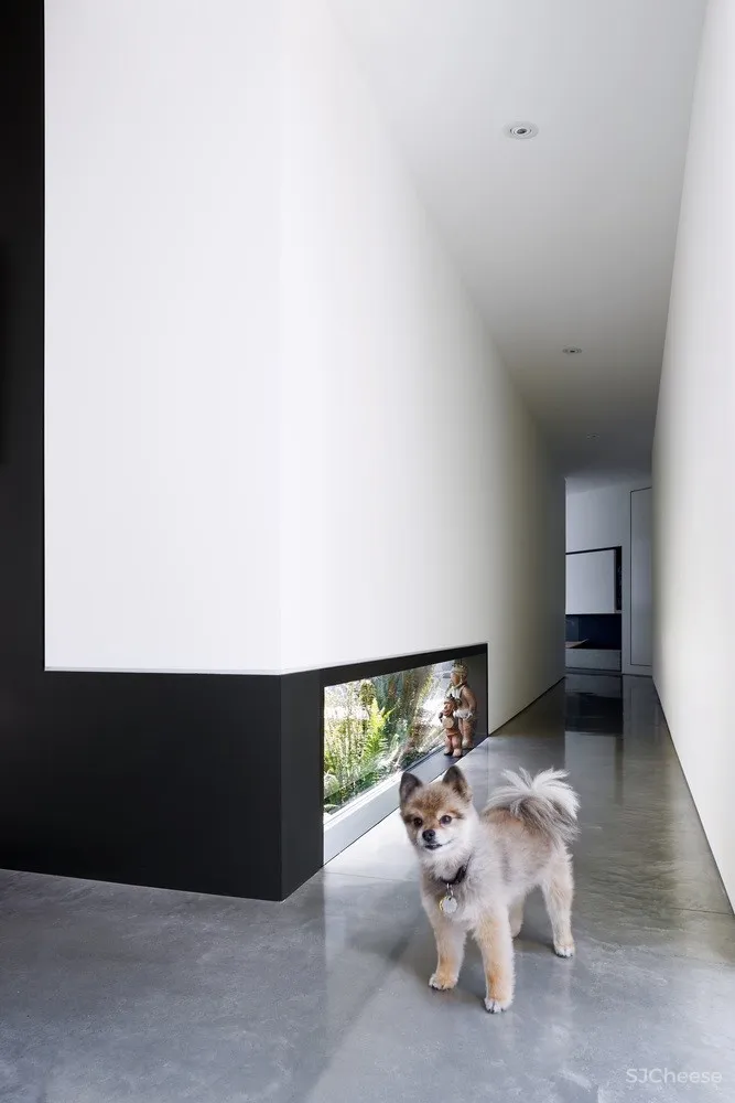 加拿大深色木结构住宅 | Okada Marshall House