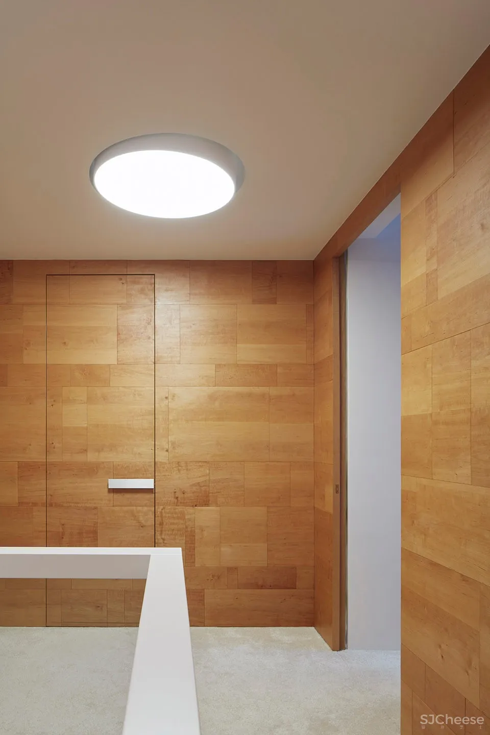 最新 | Atelier Michal Hagara：布拉格 DOLCE VITA公寓 首