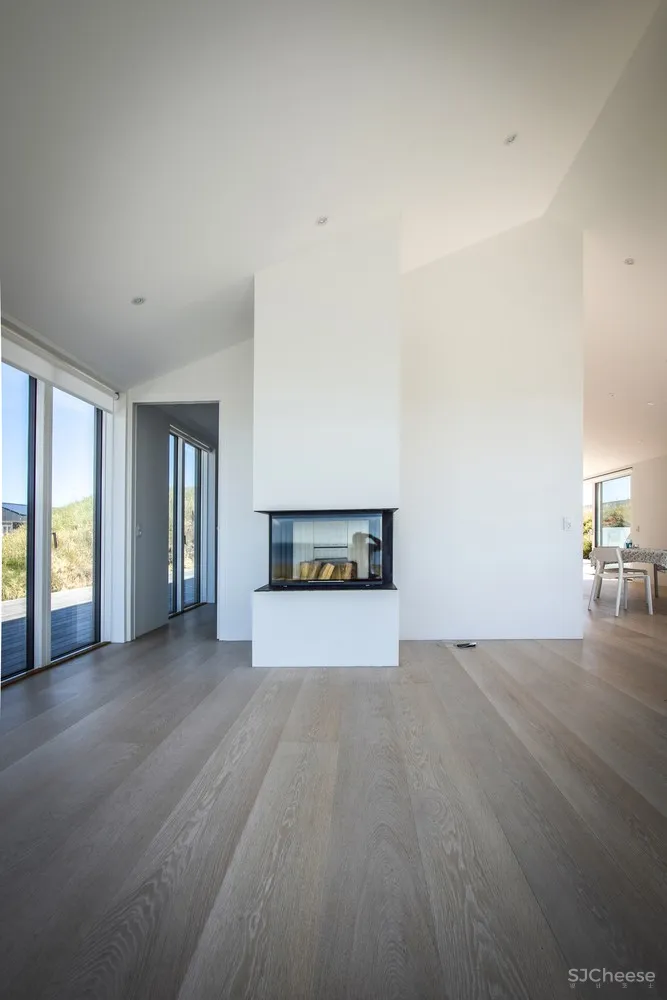 N+P Architecture | 丹麦西海岸Petry度假村