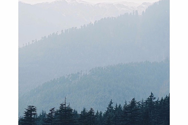 新作 | 云卷峰峦 意远境清，朴质、清雅的自然之美