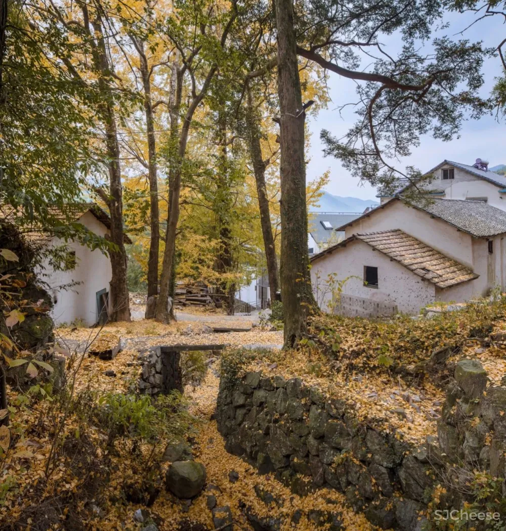 新作:隐于安吉深山老林的朴质乡居,美丽四季就在门前
