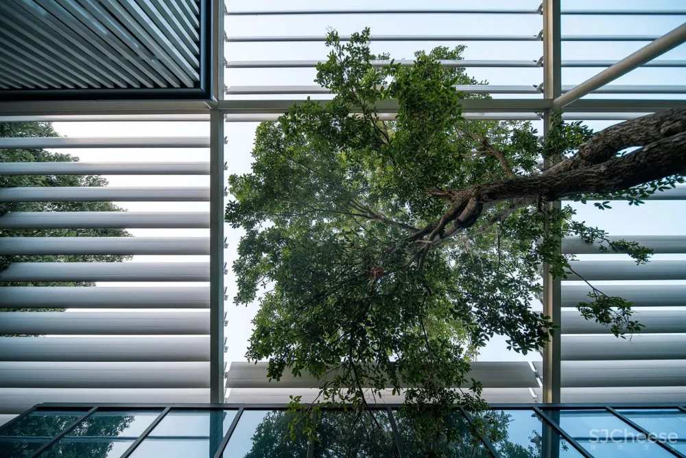 新苏集团研发中心，无锡 / 上海米丈建筑